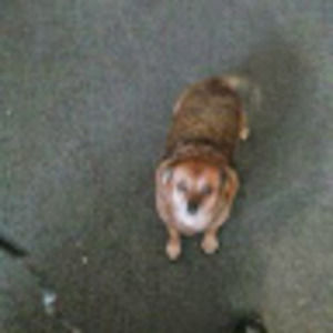 Meet your Posher, Jim